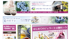 楽天通販サイト