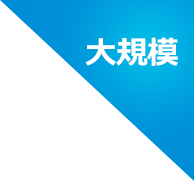 大規模